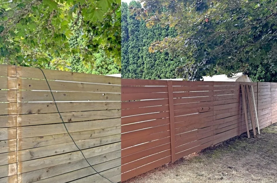 Before After Fence Staining